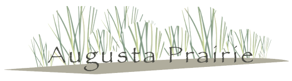 Rogers Newest Neighborhood